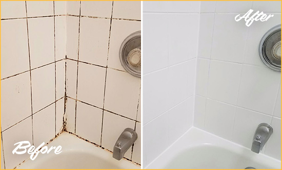 Before and After Picture of a Shrewsbury Shower Tile and Grout Cleaned to Eliminate Mold