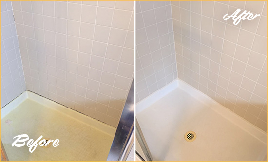 Before and After Picture of a Hudson Shower Sealed to Remove and Protect Against Mold