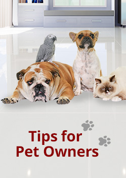 Tips for Pet Owners