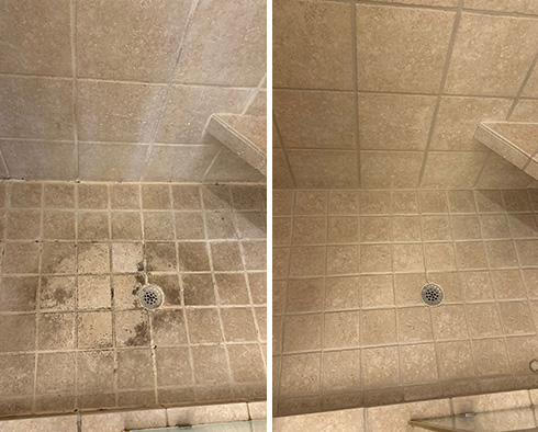 Shower Before and After a Tile Cleaning in Lincoln, MA