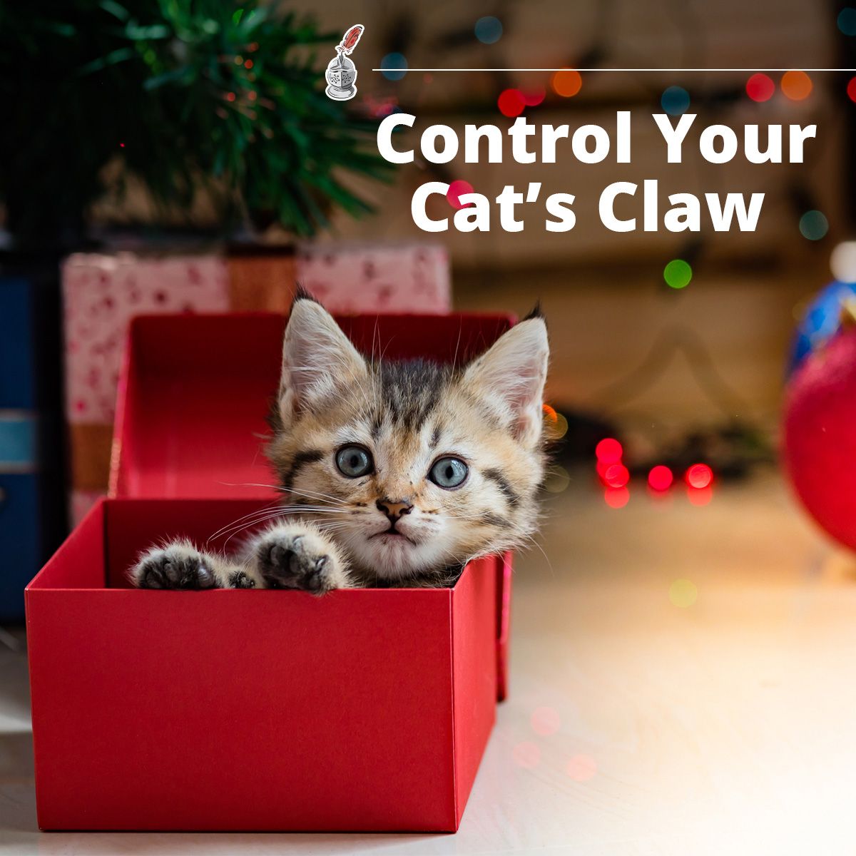 Control Your Cat's Claw